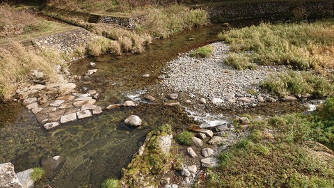 130-115(29-29)新平ヶ原公園キャンプ場863