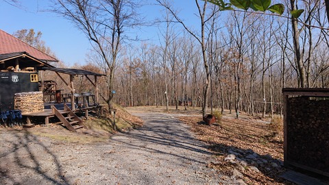 126-111(25-25)CAMP✕WOODS344