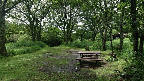 111-96(10-10)くじゅうエイドST167