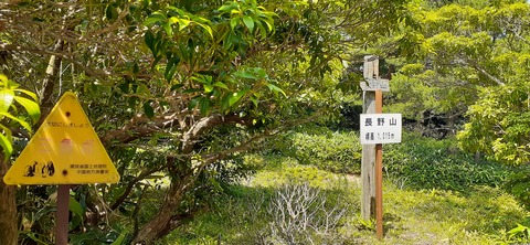 164-149(6-6)長野山緑地公園702_133441