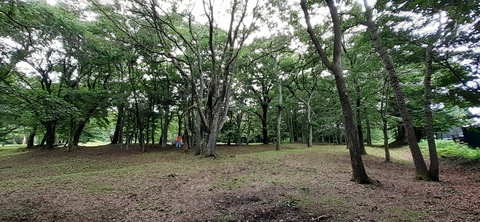 167-152(9-9)久住星群れキャンプ場723_151932