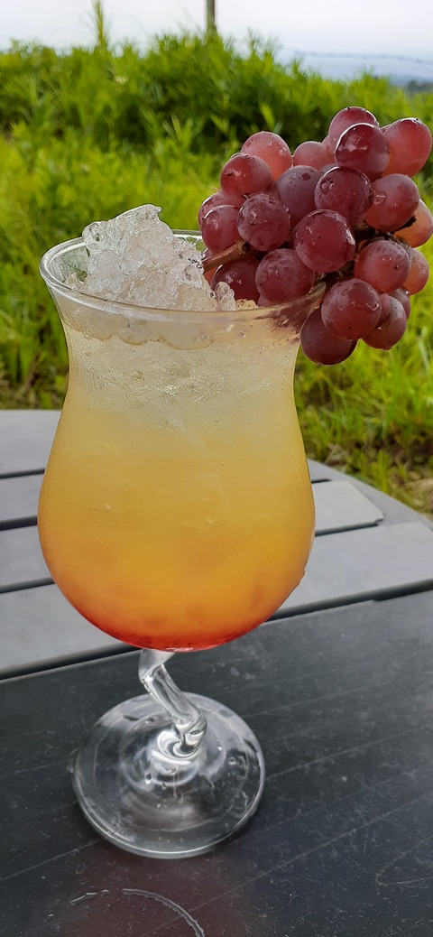 167-152(9-9)久住星群れキャンプ場723_140721