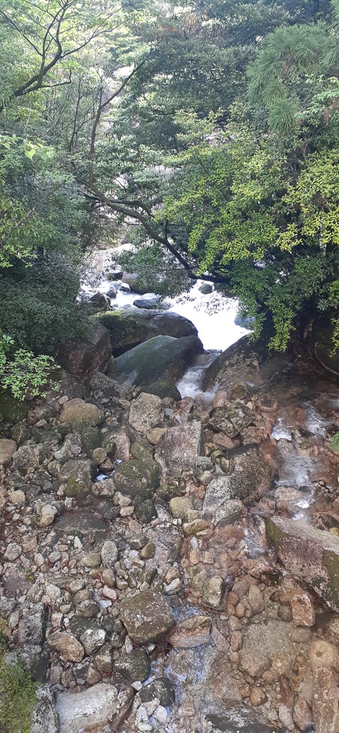 259-240(48-45)宮之浦岳新高塚小屋430_064028