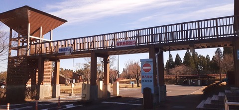 240-223(29-28)ひなもりキャンプ場1124_135605