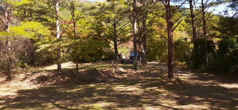 179-163(21-20)ゴンドーシャロレー7泊目1029_125952R