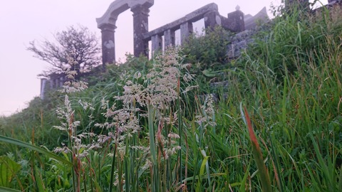 109-94(8-8)背振山キャンプ場882