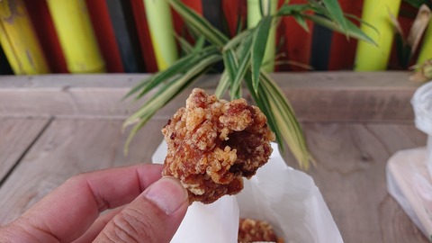 121-106(20-20)九重山麓風の丘595