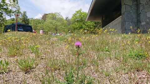 97-82(52-46)江汐公園キャンプ場711