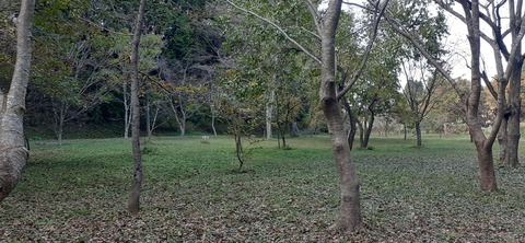 182-166(24-23)長湯きらりキャンプ場1105_133017