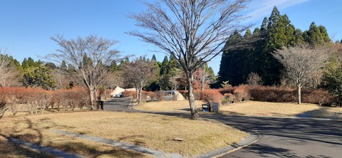 240-223(29-28)ひなもりキャンプ場1124_141618