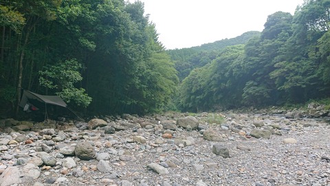 55-44(10-8)カワセミ公園996S