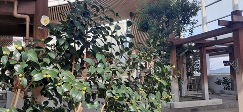 237-220(26-25)るるパーク1111_123936