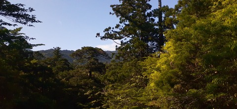 259-240(48-45)宮之浦岳新高塚小屋430_081751