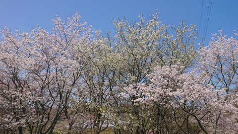 42-34家族旅行村安心院54S