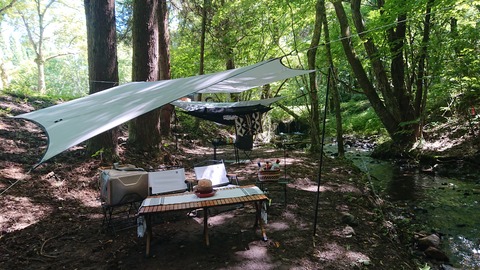 114-99(13-13)9.BASE 496