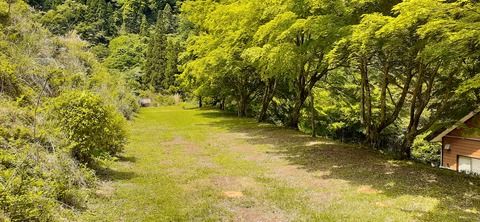 158-143(57-57)陽目の里キャンピングパーク507_123426