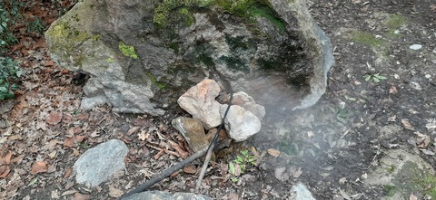 251-232(40-37)伽藍岳ゲリラキャン303_110302