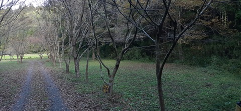 182-166(24-23)長湯きらりキャンプ場1105_132956