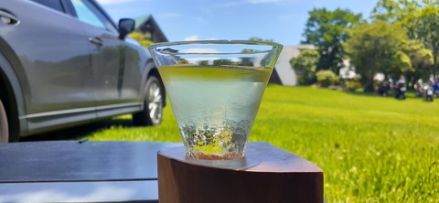 164-149(6-6)長野山緑地公園702_121906