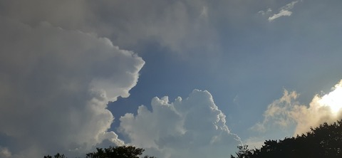 226-209(15-14)脊振山キャンプ場826_172842