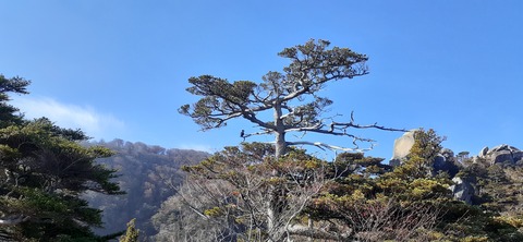 236-219(25-24)大崩山1104_093804