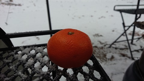 78-63(33-29)北山キャンプ場100S