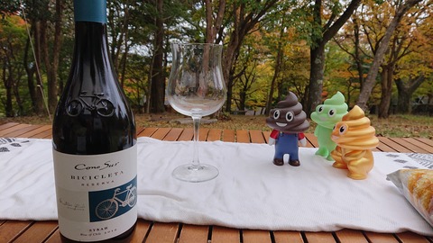 124-109(23-23)英彦山野営場149