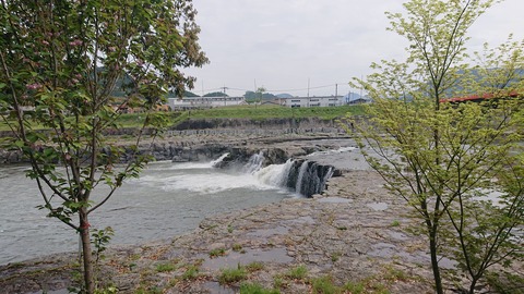 96-81(51-45)伐株山憩いの森551