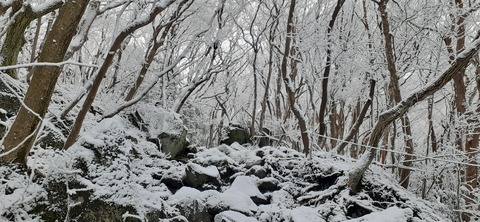 251-232(40-37)法華院温泉山荘2泊目224_082143