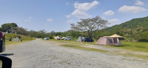 207-191(49-48)津志田河川公園乙女河原501_131728