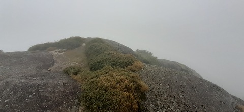 260-241(49-46)宮之浦岳淀川小屋501_100924