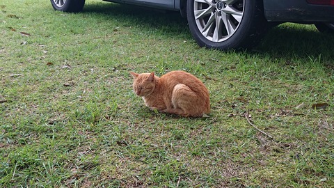 59-48(14-12)瀬の本高原オートキャンプ場454S