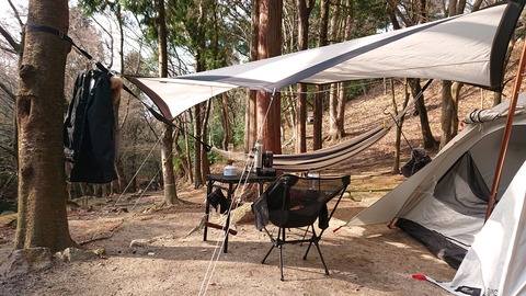 29-22昭和の森猫石サイト1063S