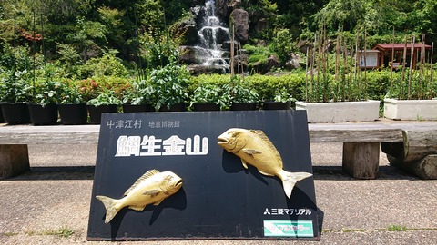 49-39鯛生金山キャンプ場282