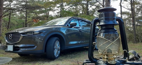 179-163(21-20)ゴンドーシャロレー7泊目1029_142605R