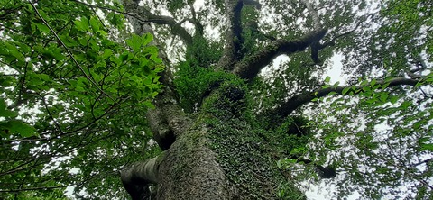 227-210(16-15)スノーピーク奥日田902_113055