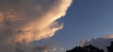 226-209(15-14)脊振山キャンプ場826_185208