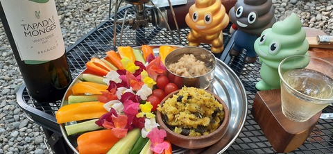 215-199(4-4)YUNOMORI CAMP SITE617_160042