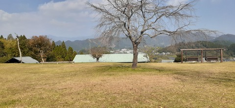 181-165(23-22)仲山城跡キャンプ場1104_122634