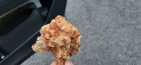 267-247(4-3)ありが湯キャンプ場608_110052