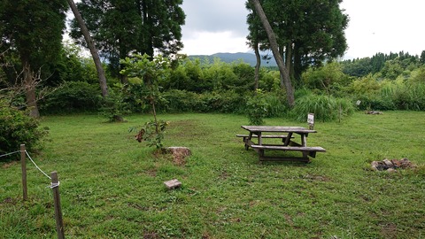 110-95(9-9)高原の里45エイドステ