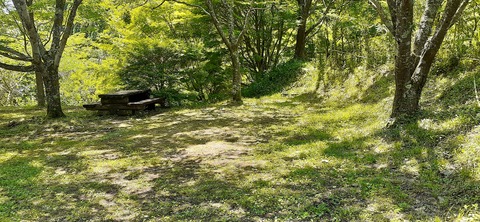 214-198(3-3)オートキャンプ竜門603_125238