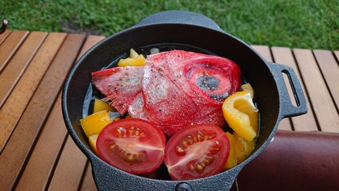 110-95(9-9)高原の里103