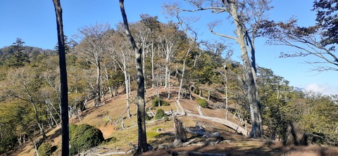 278-258(15-14)傾山1013_084404