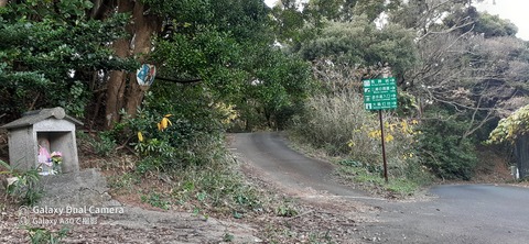 131-116(30-30)大島津和瀬キャンプ場42307