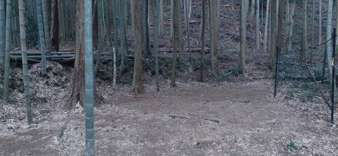 193-177(35-34)峰やしき204_121537