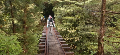 259-240(48-45)宮之浦岳新高塚小屋430_061706