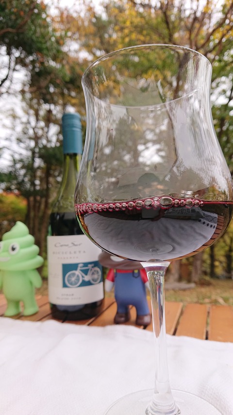 124-109(23-23)英彦山野営場155