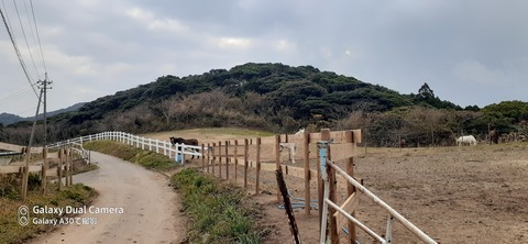 131-116(30-30)大島津和瀬キャンプ場25941