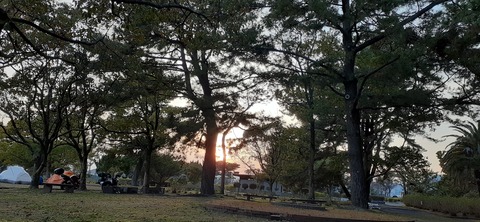 200-184(42-41)糸根地区公園キャンプ場319_180319
